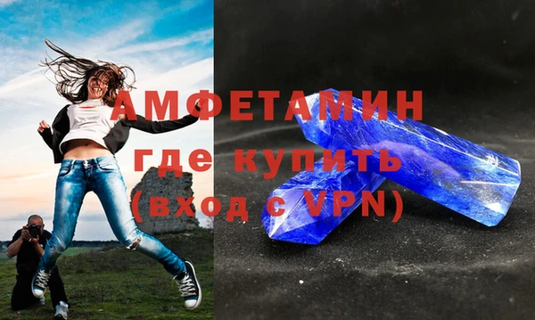 мдпв Ельня