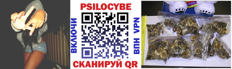 Псилоцибиновые грибы прущие грибы где можно купить MEGA ССЫЛКА Иркутск
