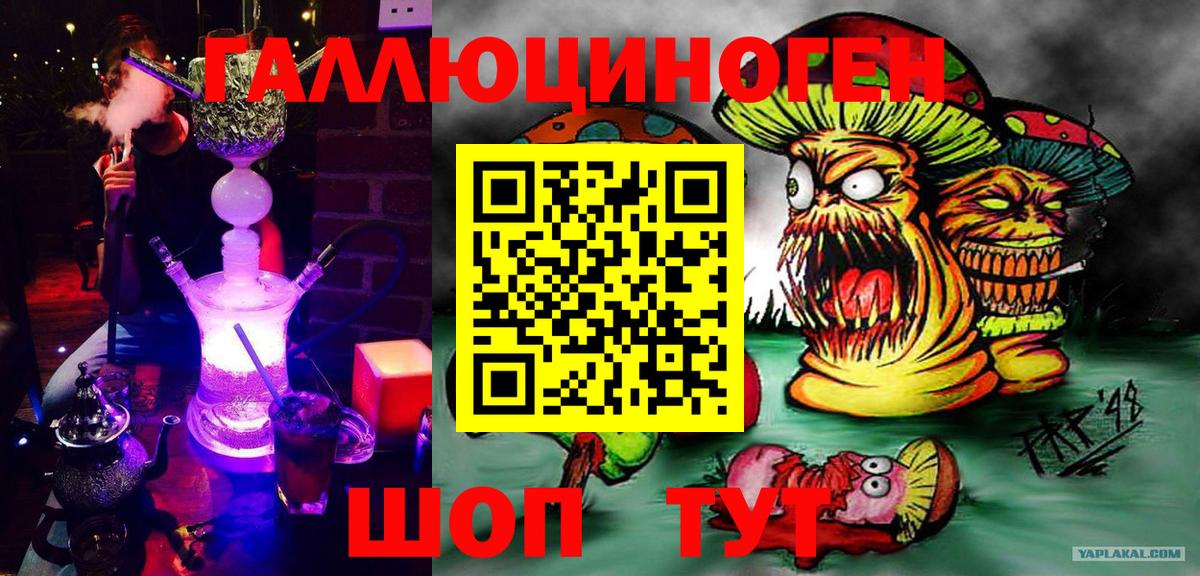 Иркутск  Галлюциногенные грибы Cubensis  Вход с VPN 